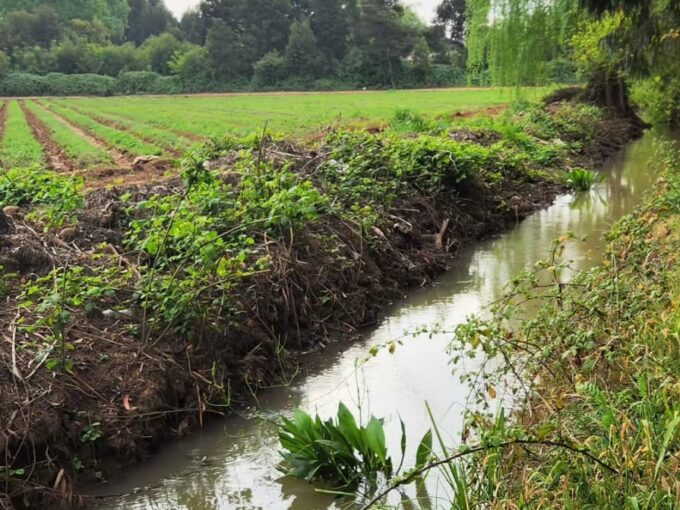 Whatsapp Image 2024 01 07 At 18.04.36