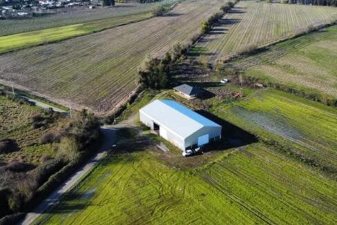 IMG-20250717-WA0017(1)