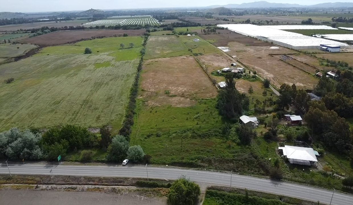 IMG-20260112-WA0146(1)