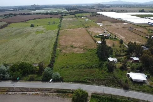 IMG-20260112-WA0146(1)