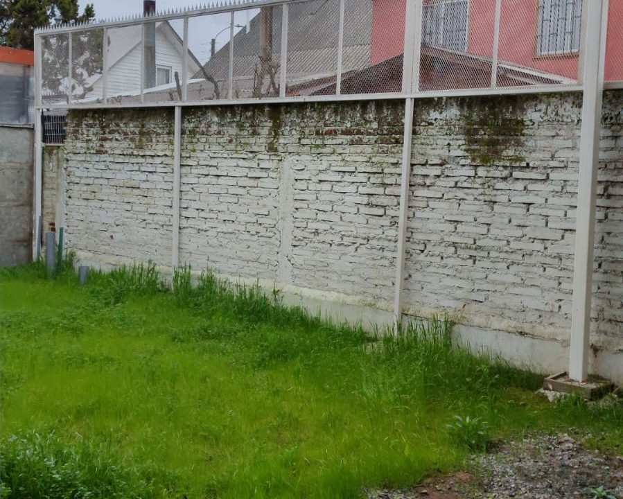 IMG-20260305-WA0040