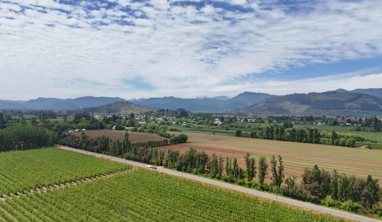 IMG-20260315-WA0020