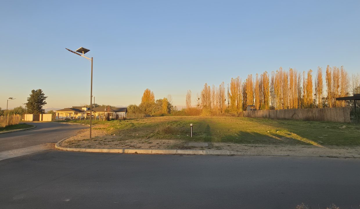 20260511_173111
