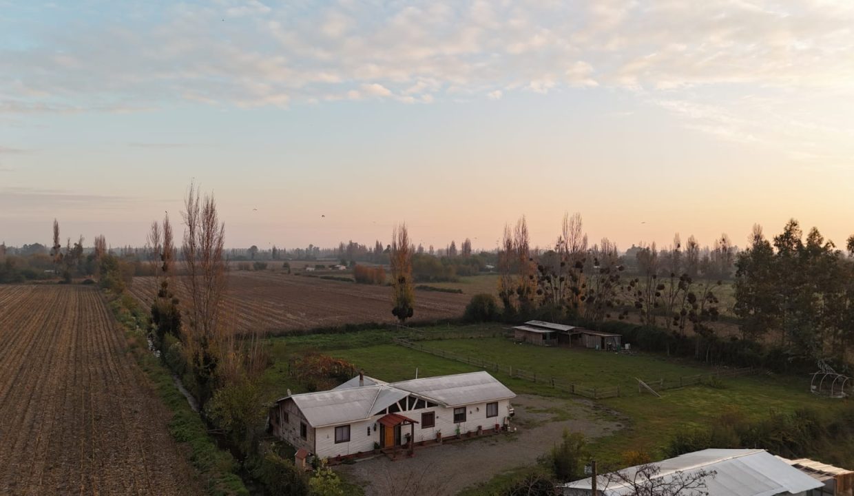 IMG-20260607-WA0001
