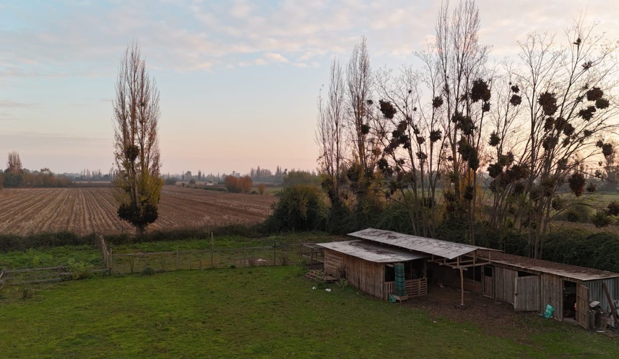 IMG-20260607-WA0006