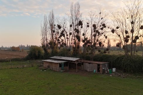 IMG-20260607-WA0007