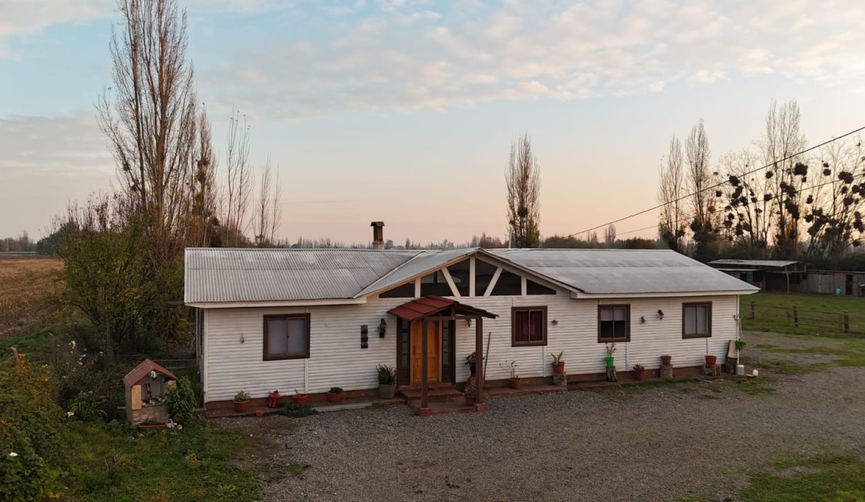IMG-20260607-WA0008