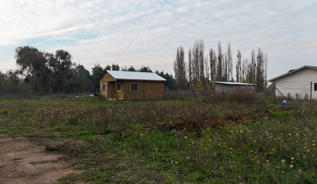 IMG-20260606-WA0099