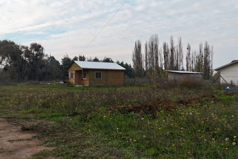 IMG-20260606-WA0099