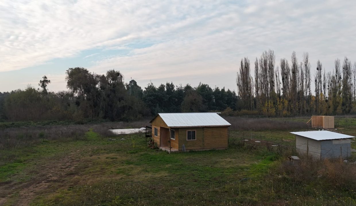 IMG-20260606-WA0101