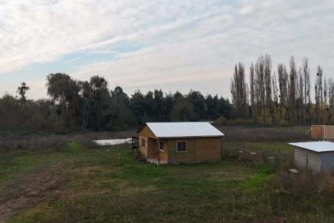 IMG-20260606-WA0101