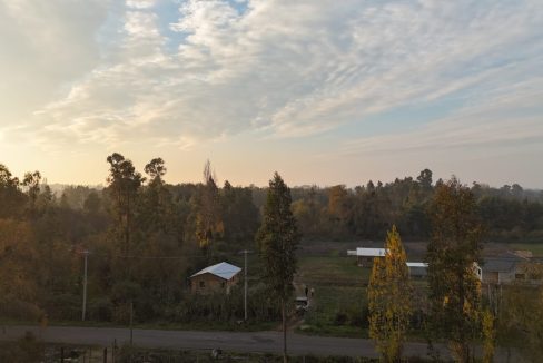 IMG-20260606-WA0106